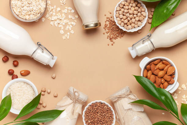 Plant-Based Protein Revolution: The Rise of Vegan Meat Substitutes