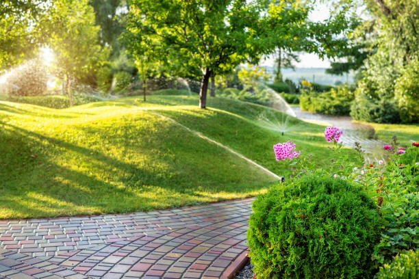 A Guide to the Fundamentals of Tree Services