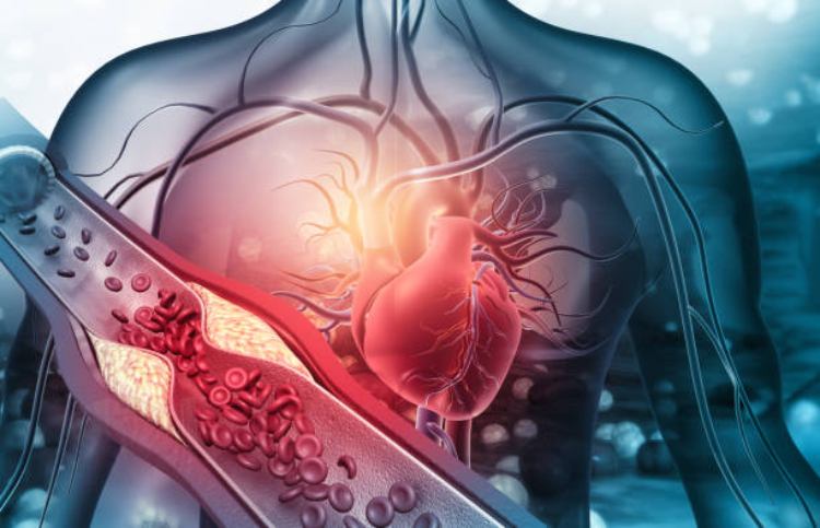 9 Surprising Facts About Cholesterol You Didn't Know!