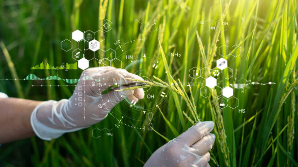 Discovering the Future: Biotechnology and Genetic Engineering