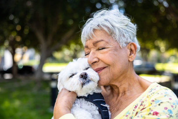 5 Benefits of Dogs for Seniors: Companion, Health, and Happiness