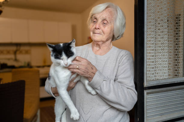 Top 5 Cat Breeds Ideal for Seniors: A Guide to Feline Companionship